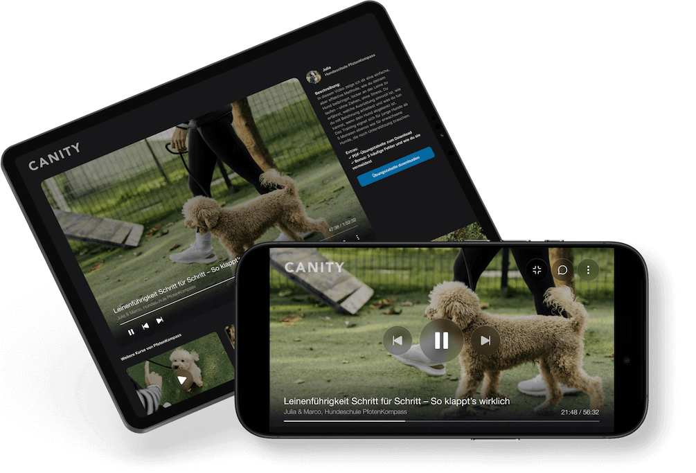 Screenshot der Canity Video-Modul Verwaltung mit Online-Inhalten